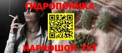 spice Жуковский