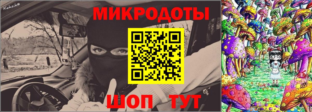 Псилоцибиновые грибы Psilocybe Лянтор